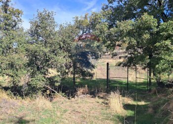 Giardino - Terreno agricolo CONTRADA INCHIUSO, Santa Maria di Licodia - foto 25