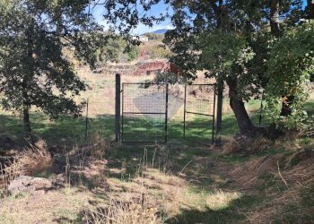 Giardino - Terreno agricolo CONTRADA INCHIUSO, Santa Maria di Licodia - foto 26