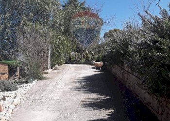 Strada - Villa Contrada Roccella
 
snc, San Cataldo - foto 17