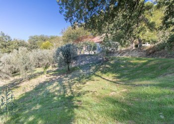 Giardino - Rustico Via Strada Delle Cave
 
19, Chieti - foto 10