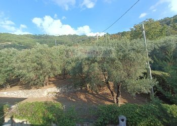 Foto 29 - Villa a Schiera Seravezza - foto 29