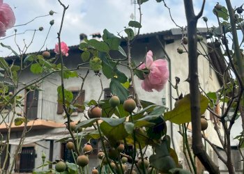 Foto 4 - Rustic Via Mazzini
 
6, Robella - photo 4