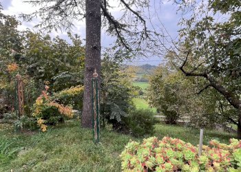 Foto 6 - Rustic Via Mazzini
 
6, Robella - photo 6