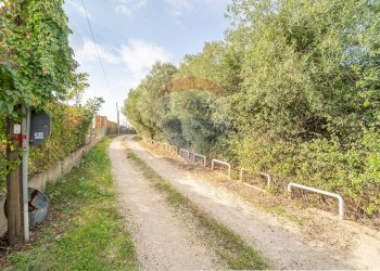 Giardino - Villa Via Laurentina, Ardea - foto 65