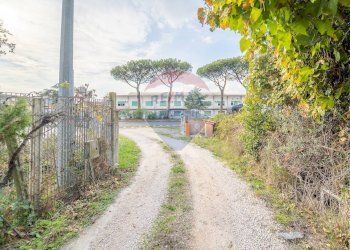 Giardino - Villa Via Laurentina, Ardea - foto 66