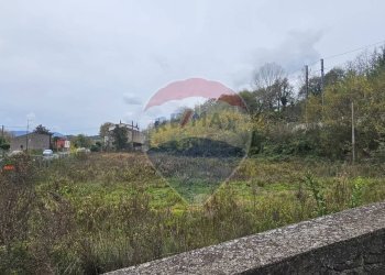 Giardino - Locale Commerciale Strada Statale Appia
 
7, Montesarchio - foto 6