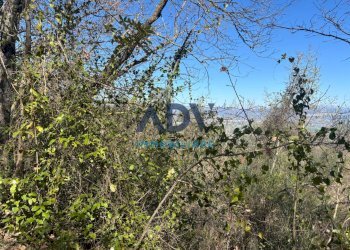 Foto 6 - Terreno edificabile via cinque cerri, Bettona - foto 6