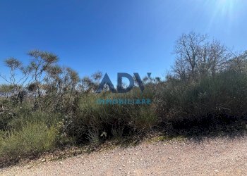 Foto 8 - Terreno edificabile via cinque cerri, Bettona - foto 8