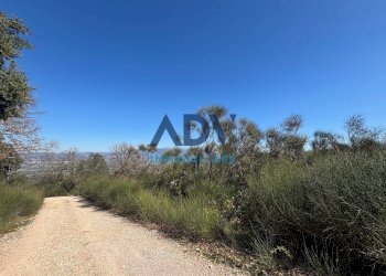 Foto 9 - Terreno edificabile via cinque cerri, Bettona - foto 9