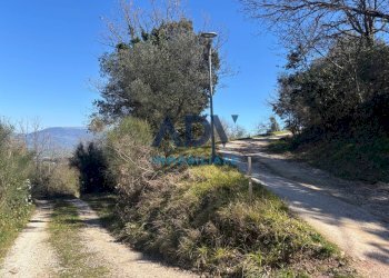 Foto 10 - Terreno edificabile via cinque cerri, Bettona - foto 10