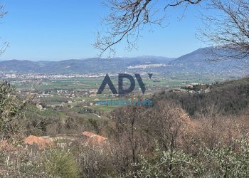 Foto 12 - Terreno edificabile via cinque cerri, Bettona - foto 12