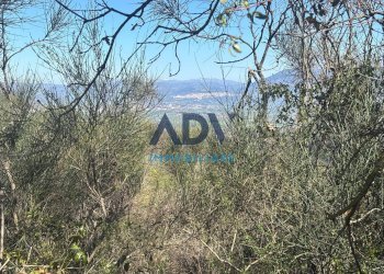 Foto 13 - Terreno edificabile via cinque cerri, Bettona - foto 13