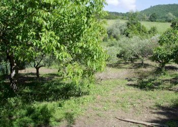 Foto 30 - Rustico VIA PETRATA
 
23, Assisi - foto 30