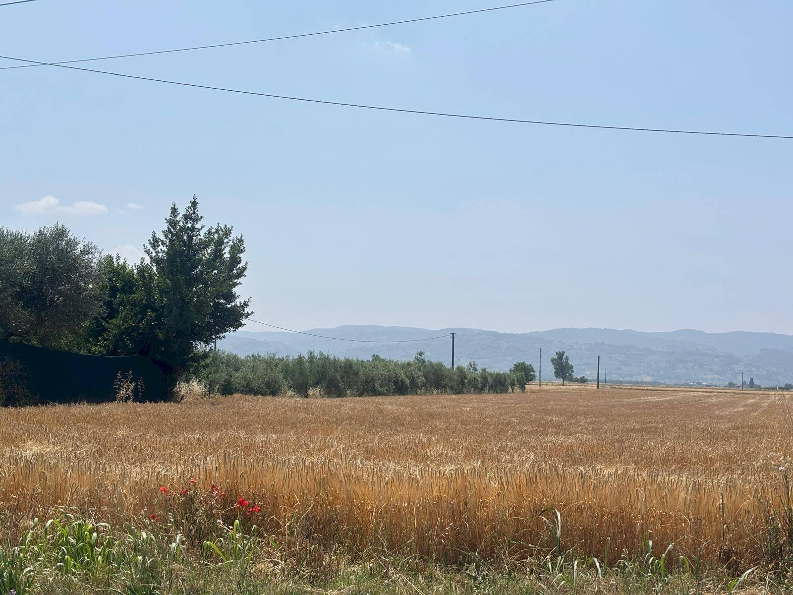 Foto 1 - Building land Bastia Umbra - photo 1