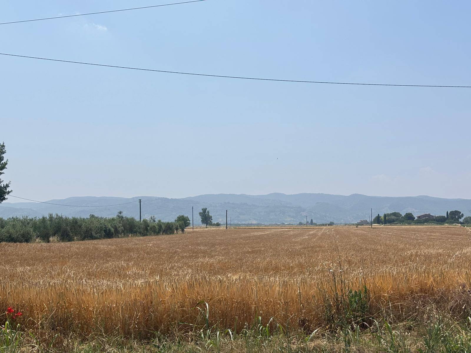 Foto 2 - Building land Bastia Umbra - photo 2