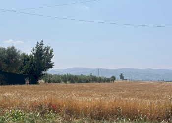 Foto 1 - Terreno edificabile Bastia Umbra - foto 1