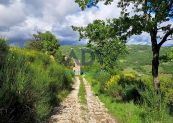 Foto 4 - Rustico paradiso
 
32, Assisi - foto 4