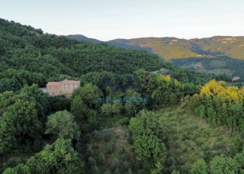 Foto 69 - Rustico paradiso
 
32, Assisi - foto 69