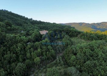 Foto 75 - Rustico paradiso
 
32, Assisi - foto 75