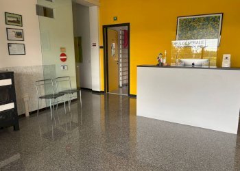 Foto 2 - Ufficio VIA GIUSEPPE ERMINI, Assisi - foto 2