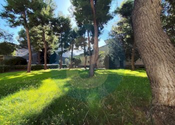 Foto 18 - Trilocale Via Grimoaldo Degli Alfaraniti
 
12, Bari - foto 18