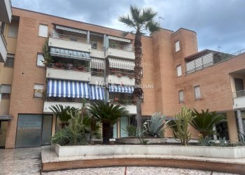 Foto 8 - Commercial Activity San Benedetto del Tronto - photo 8