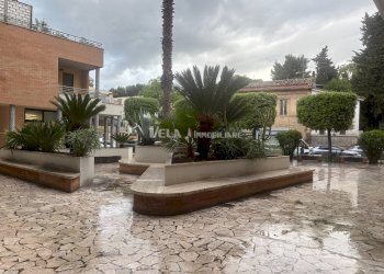 Foto 9 - Commercial Activity San Benedetto del Tronto - photo 9