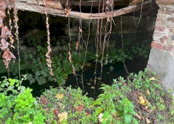 Foto 10 - Independent house via sotto monte
 
69, Capannori - photo 10