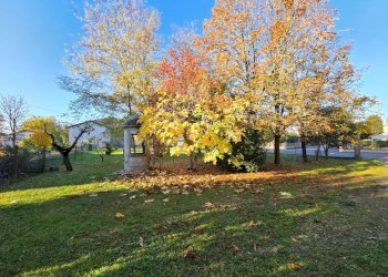 Foto 8 - Villa Medolla - foto 8