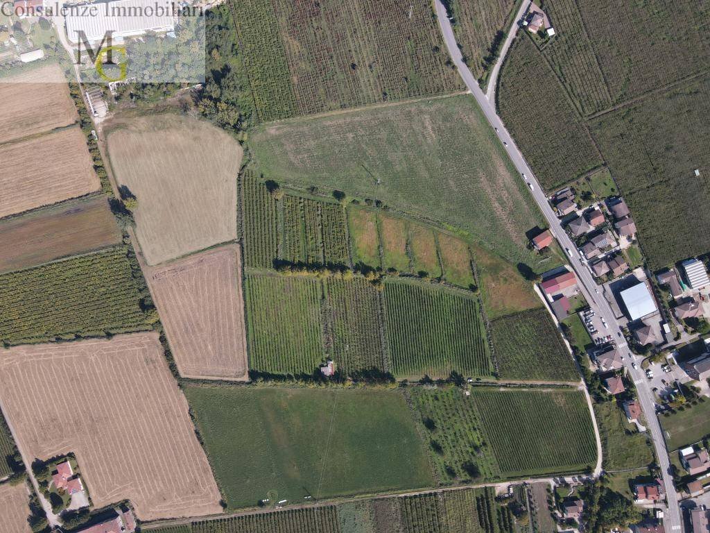 Foto 3 - Terreno agricolo Colognola ai Colli - foto 3