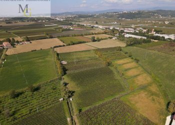 Foto 2 - Terreno agricolo Colognola ai Colli - foto 2