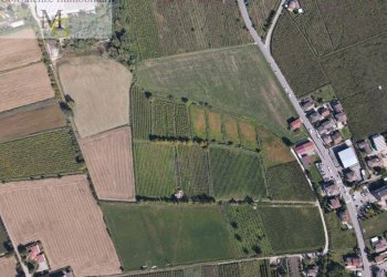 Foto 3 - Terreno agricolo Colognola ai Colli - foto 3