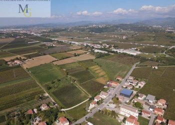 Foto 6 - Terreno agricolo Colognola ai Colli - foto 6