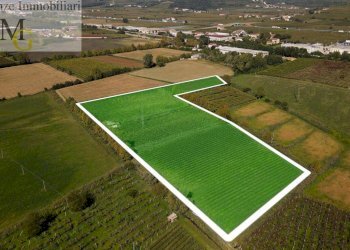 Foto 1 - Terreno agricolo Colognola ai Colli - foto 1