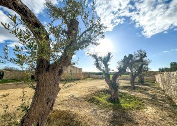 Foto 6 - Rustico contrada Buonivini, Noto - foto 6