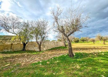 Foto 14 - Rustico contrada Buonivini, Noto - foto 14