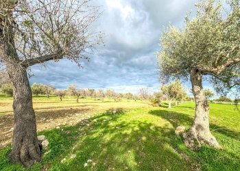 Foto 15 - Rustico contrada Buonivini, Noto - foto 15