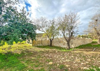 Foto 16 - Rustico contrada Buonivini, Noto - foto 16