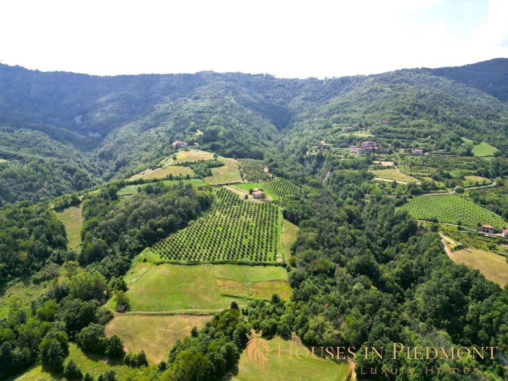 terreno - Rustic Prunetto - photo 3