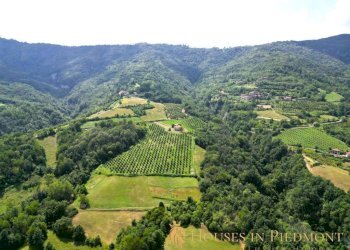 terreno - Rustic Prunetto - photo 3