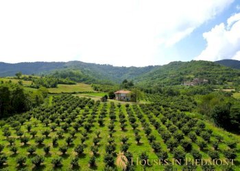 terreno - Rustic Prunetto - photo 10