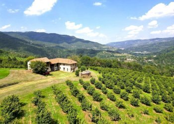 terreno - Rustic Prunetto - photo 12