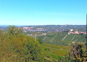 Vista - Rustico Neive - foto 34