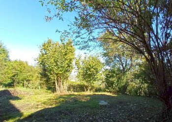 Terreno - Rustic Neive - photo 38