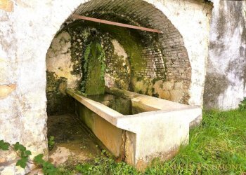 Giardino - Rustico Torre Mondovì - foto 11