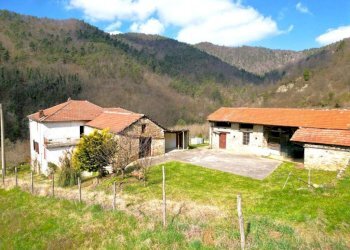 Terreno - Rustico Cortemilia - foto 5