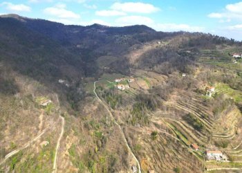 Vista - Rustico Cortemilia - foto 7