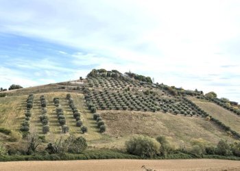 Foto 1 - Terreno agricolo contrada montetinello, Monteprandone - foto 1