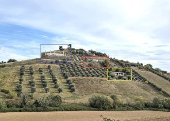 Foto 3 - Terreno agricolo contrada montetinello, Monteprandone - foto 3