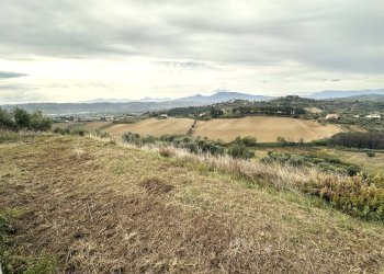 Foto 10 - Terreno agricolo contrada montetinello, Monteprandone - foto 10